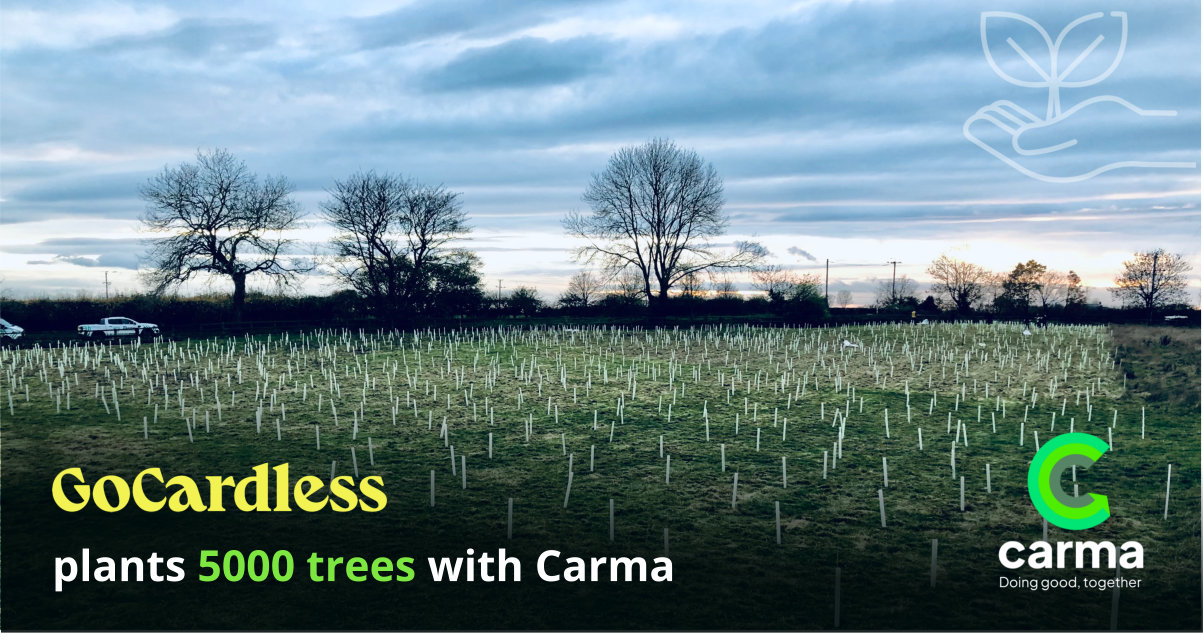 How GoCardless planted 5000 trees in one day and dug deeply into its sustainability strategy with Carma